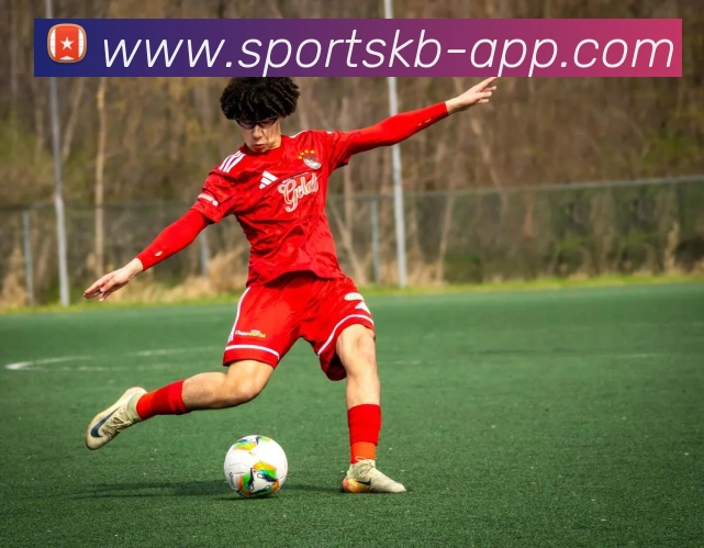 App Interface Preview