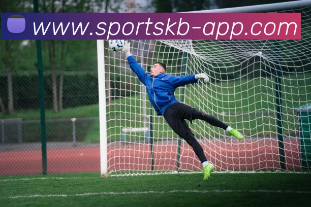 KB体育APP 封面图